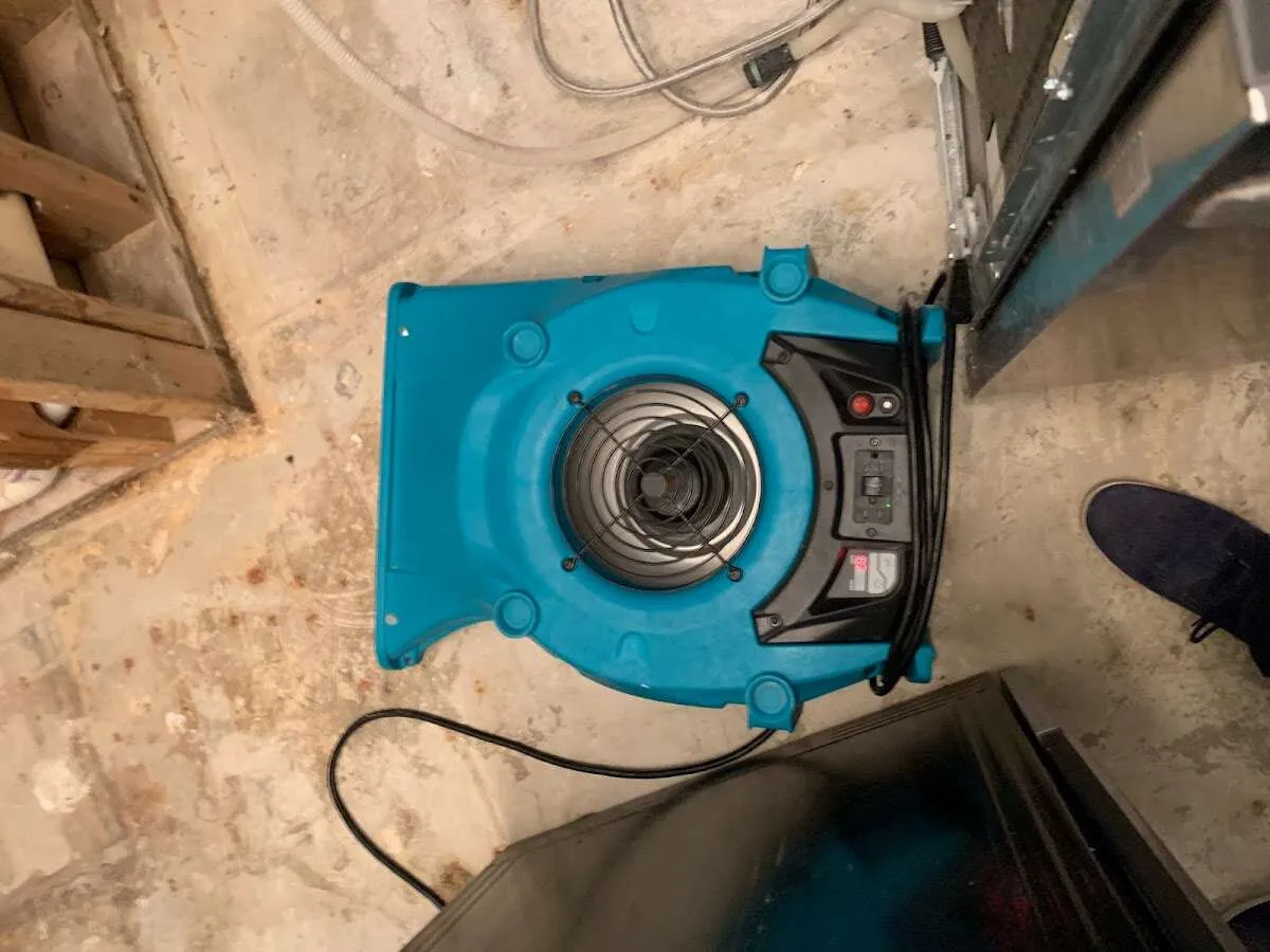 Air mover drying equipment for Mold Remediation & Removal in Bellevue
