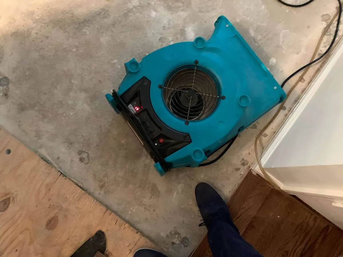 Air mover drying subfloor during Leak Detection & Repair in Bellevue